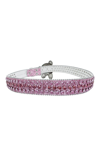 STOLEN ARTS Belt Size: Youth L/XL