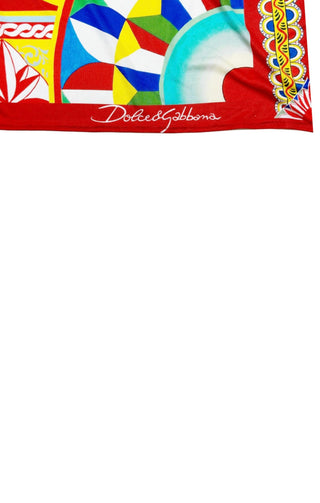 (RARE) Scarf / Towel / Blanket Size: 71" x 51"