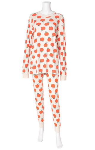 HANNA ANDERSSON Pajama Set Size: L