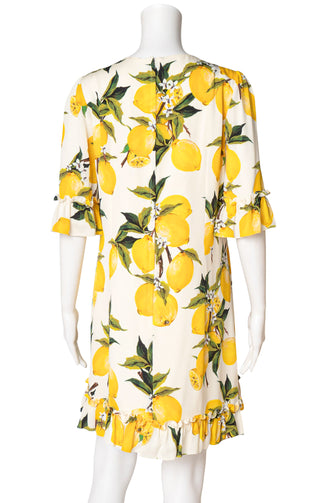 DOLCE & GABBANA (RARE) Dress Size: M
