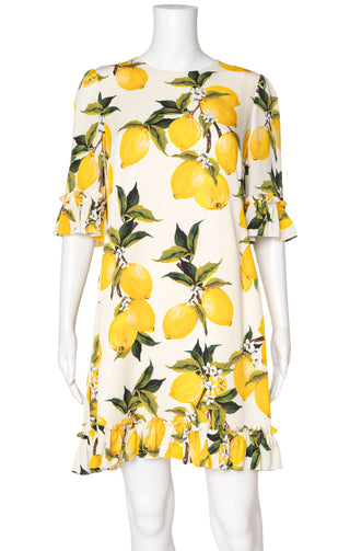DOLCE & GABBANA (RARE) Dress Size: M
