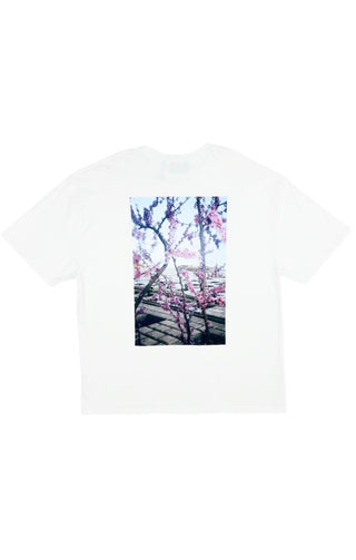 ESSENTIALS FEAR OF GOD (RARE) T-Shirt Size: 2XL